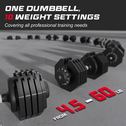 Keppi dba60 adjustable dumbbells with 10 weight settings